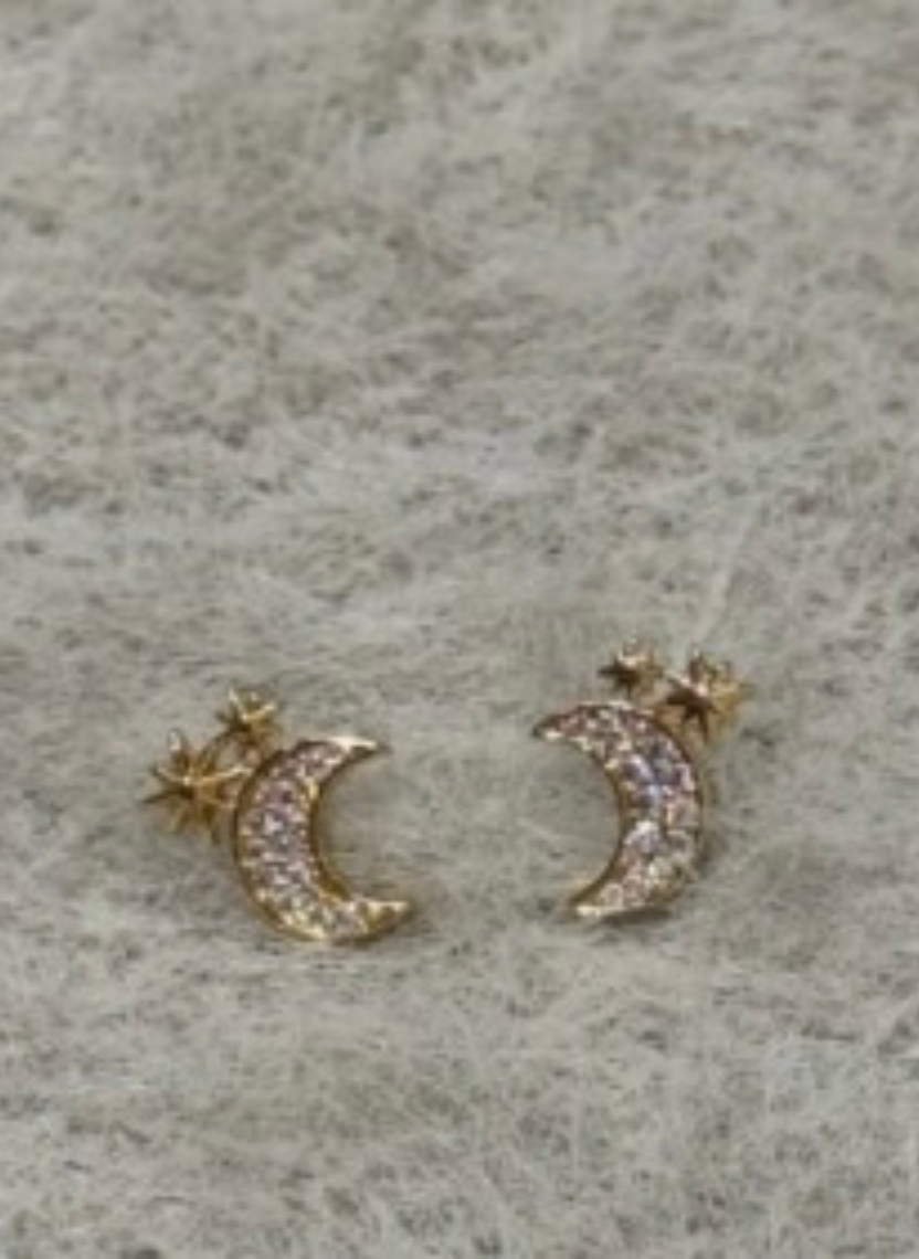 Moon Star Stud Earrings