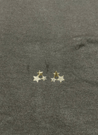 Sparkle Star Stud Earrings - LUXEAR-AA9-9 - Luxeria