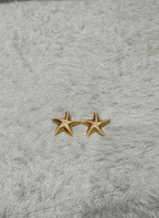 Starfish Glow Earring - EWS-EAR-007-1 - Luxeria